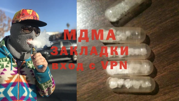 МДПВ Бородино