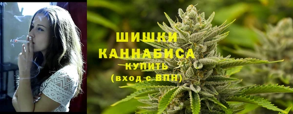 МДПВ Бугульма