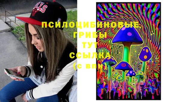 МДПВ Бугульма