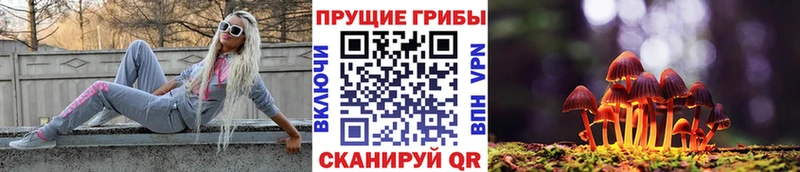 Галлюциногенные грибы Magic Shrooms  магазин    Верхний Уфалей 